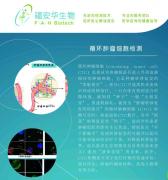 循環(huán)腫瘤細(xì)胞（CTC）檢測(cè)